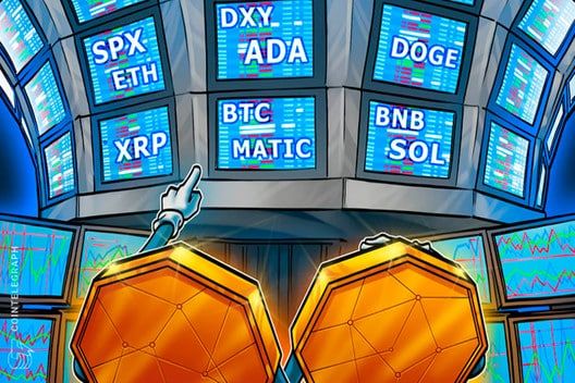 Hora das altcoins explodirem? Gestores avaliam se uma ‘alt season’ está a caminho