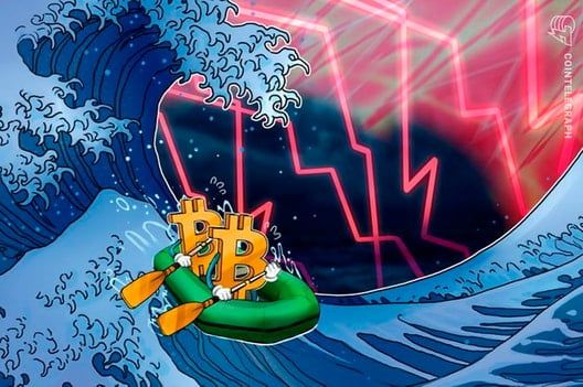 Baleia cede ao desespero e perde R$ 2,5 milhões com token BALD