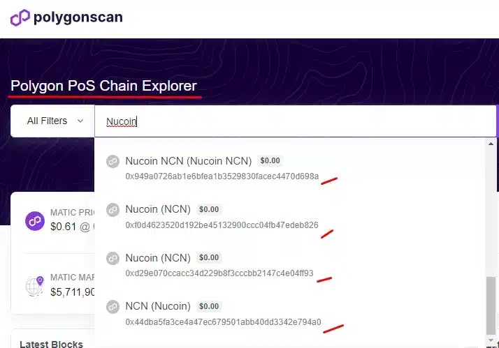 Várias criptomoedas falsas criadas com a imagem do Nubank na rede Polygon