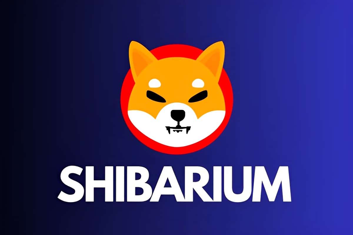 Shiba Inu despenca e desenvolvedor desabafa: “ferramos tudo”