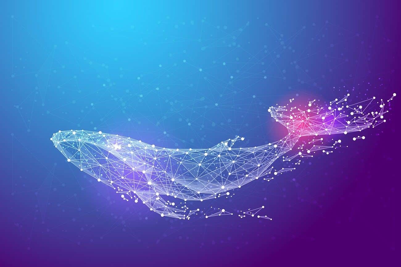 Baleia move 687 bitcoins após 10 anos com valorização de 7000%