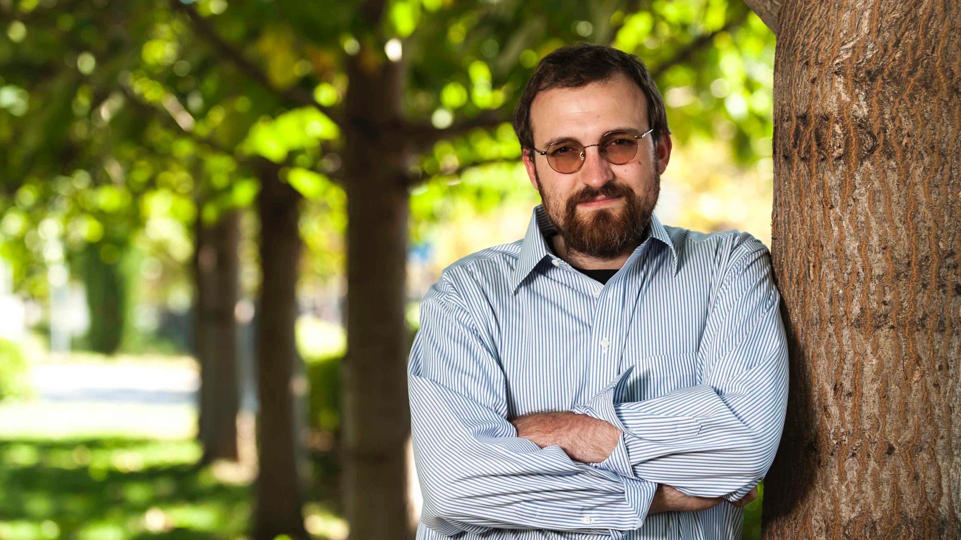 Bitcoin não vai sobreviver, diz fundador da Cardano