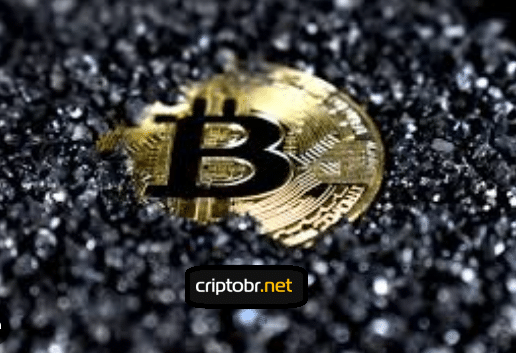 Município de Rondônia proíbe mineração de criptomoedas e uso de jogos em computadores públicos