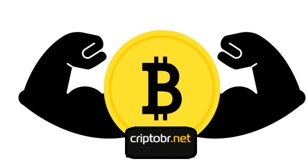 Bitcoin pode chegar a US$ 500 mil, afirma criador do modelo Stock-to-Flow