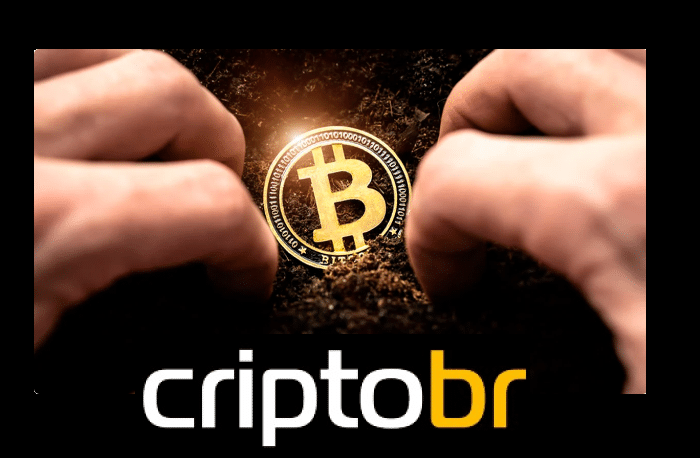 Bitcoin pode disputar até US$ 30 trilhões com os títulos do Tesouro, afirma CEO da Bitwise
